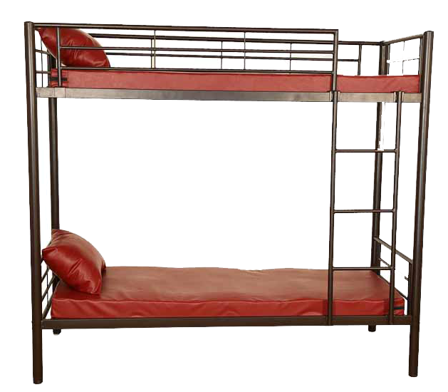 Dual colour twin bunker cot with safety guard and ladder