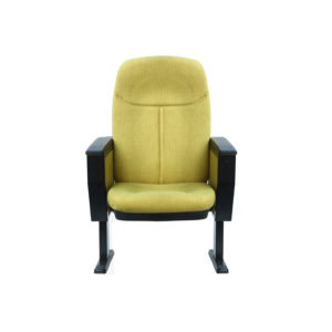 A single luxury seating chair with light yellow cushions is provided for the auditorium.